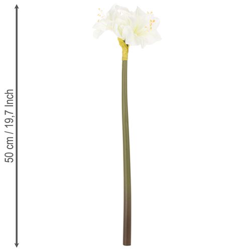 Dirbtinė amarilės gėlė, balta, su koteliu, Advento ir Kalėdų, 50 cm | Floristik24.lt