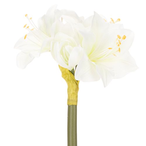 Dirbtinė amarilės gėlė, balta, su koteliu, Advento ir Kalėdų, 50 cm | Floristik24.lt
