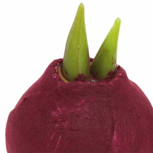 Floristik24 Amarilio svogūnėlis Dirbtinis bordo H12,5cm 3vnt