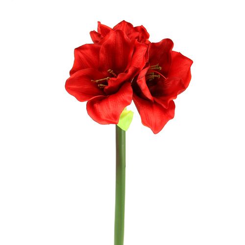 Amarilis dirbtinis 60cm raudonas