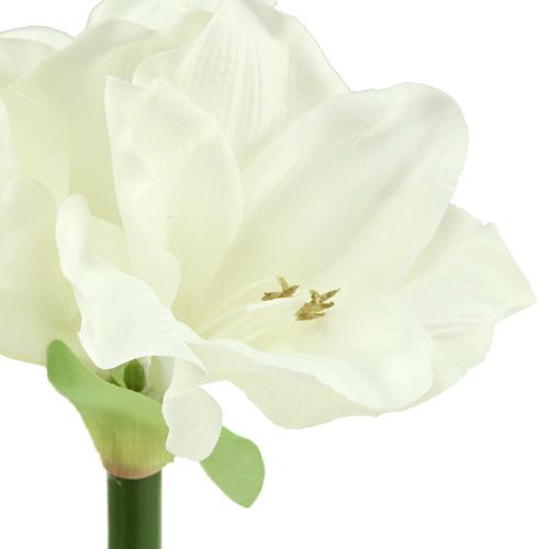 Floristik24 Amarilis dirbtinis 60cm baltas