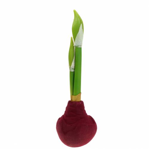 Amarilio gumbas su pumpurais Dirbtinis 30cm bordo