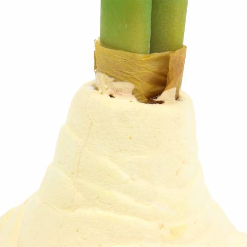 Floristik24 Amarilio gumbas su pumpurais Dirbtinis baltas H30cm