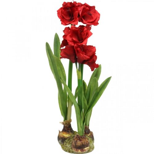Dirbtinis amarilis raudonas 3 šilkinės gėlės ant samanų kamuoliukų H64cm