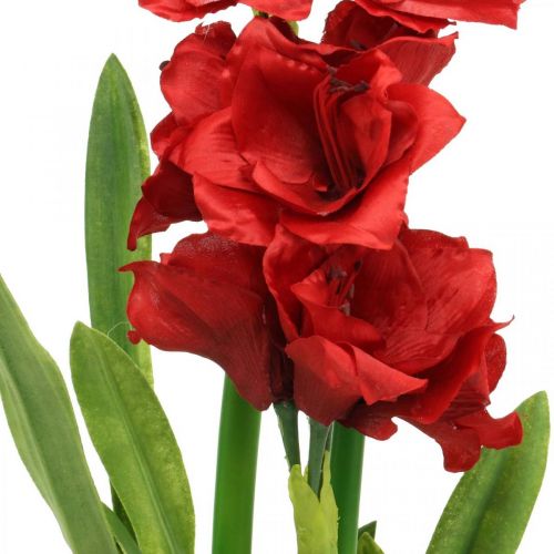 Floristik24 Dirbtinis amarilis raudonas 3 šilkinės gėlės ant samanų kamuoliukų H64cm