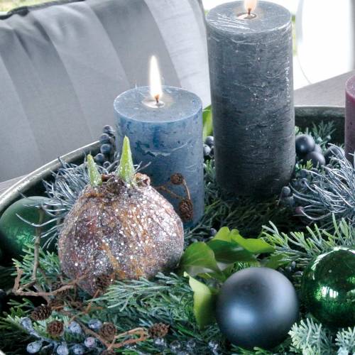 Floristik24 Amarilio lemputė su blizgučiais dirbtiniu rudu H19cm