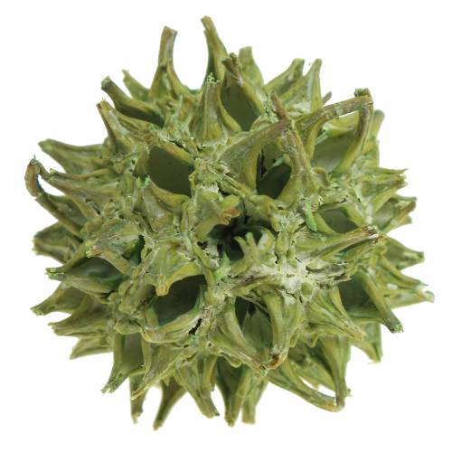daiktų Sweetgum spurgai žaliai matiniai 250g