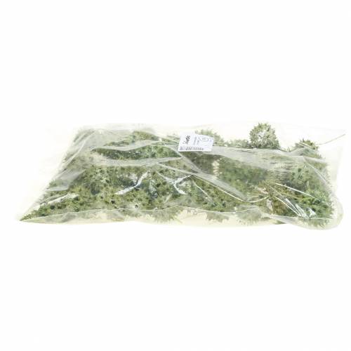 daiktų Sweetgum spurgai žaliai matiniai 250g