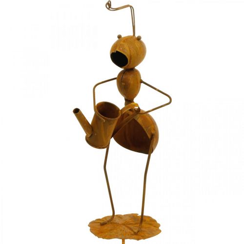 Floristik24 Dekoratyvinė kamštinė skruzdė, lovos puošmena, skruzdė su laistytuvu, gėlių kamštelio patina