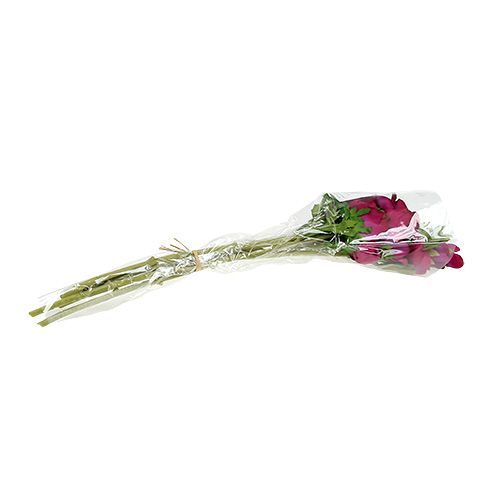 Floristik24 Dirbtinis anemonas Fuchsia 6vnt