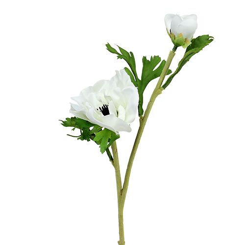 Floristik24 Anemone dirbtinis baltas 6vnt