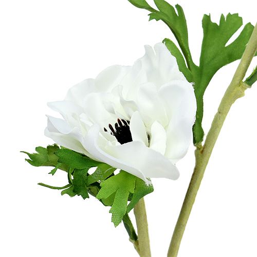 Floristik24 Anemone dirbtinis baltas 6vnt