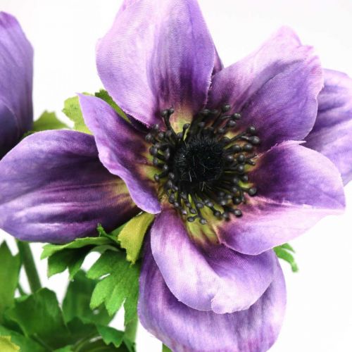 Floristik24 Dirbtinis anemonas, šilkinė gėlė, dirbtinis augalas su žiedais violetiniais L55cm