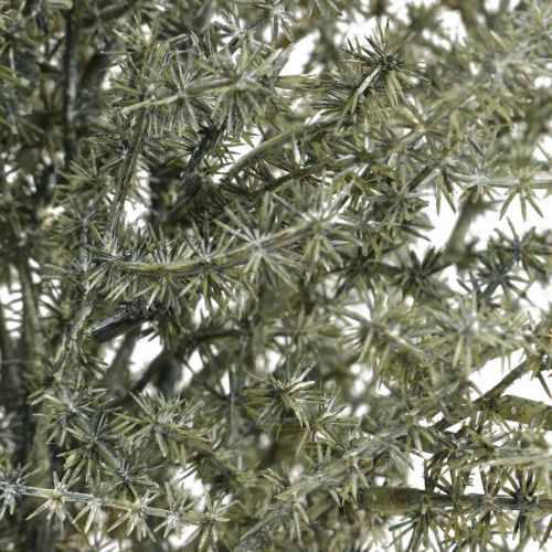 Floristik24 Maumedžio dekoratyvinė šaka balta skalbta dirbtinė 45cm 6vnt