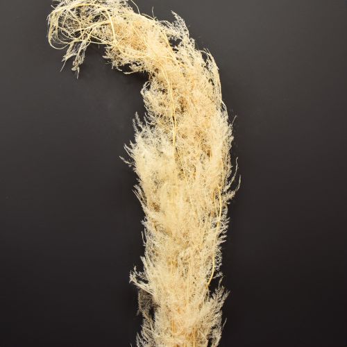 Džiovintos dekoratyvinių šparagų žolės, abrikosai, 90 cm, 5 vnt.
