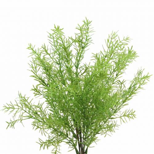 Floristik24 Šparagai dekoratyviniai šparagai dirbtiniai žali 46cm