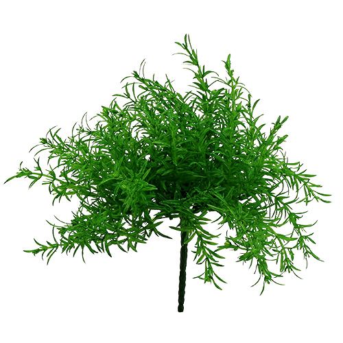 Floristik24 Šparagų krūmas žalias 25cm