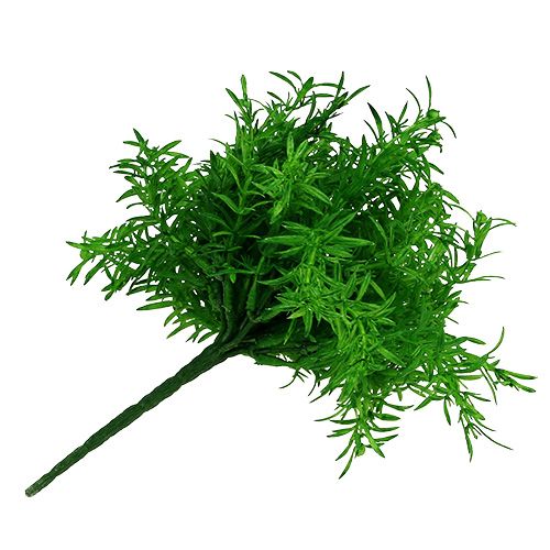 Floristik24 Šparagų krūmas žalias 25cm