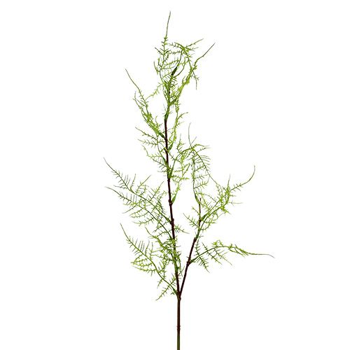 Floristik24 Šparago šakelė 75cm žalia 3vnt