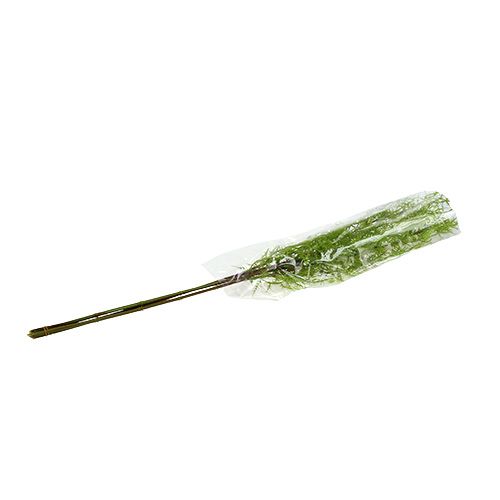 Floristik24 Šparago šakelė 75cm žalia 3vnt