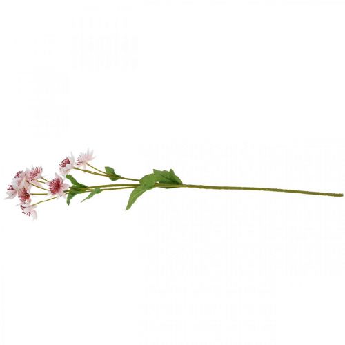 daiktų Didelė Masterwort Dirbtinė Astrania Šilkinė Gėlė Balta Rožinė L61cm