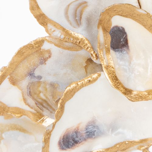 daiktų Austrių vainiko kriauklės dekoracija, jūrinis namų aksesuaras, natūrali sienų puošmena, 12 cm