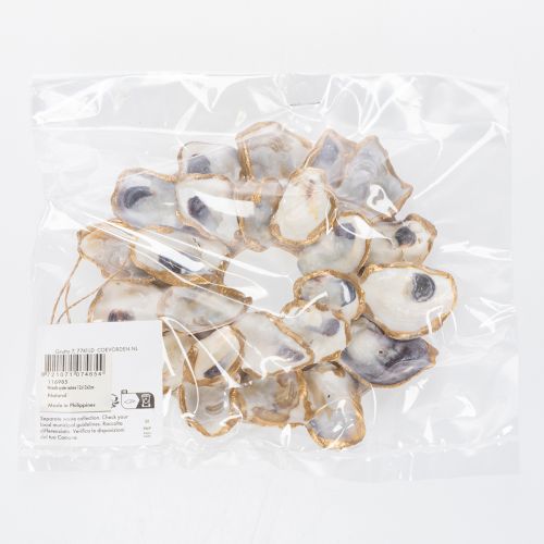 daiktų Austrių vainiko kriauklės dekoracija, jūrinis namų aksesuaras, natūrali sienų puošmena, 12 cm