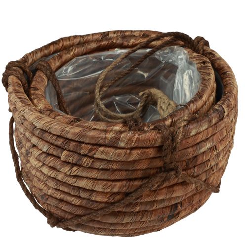 daiktų Krepšelis pakabinimui vandens hiacinto rudas 25/31cm rinkinys po 2