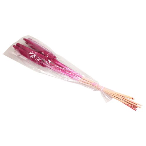 daiktų Perlinė sora, nendrinė babala, soros rožinė 70cm 10 vnt