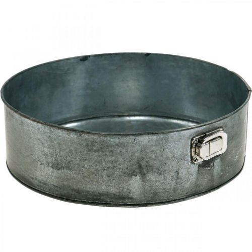 Floristik24 Sodinamoji, dekoratyvinė kepimo skarda, spyruoklinė forma sodinimui, metalinė apdaila Ø24cm H7,5cm