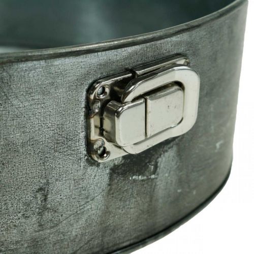 Floristik24 Sodinamoji, dekoratyvinė kepimo skarda, spyruoklinė forma sodinimui, metalinė apdaila Ø24cm H7,5cm