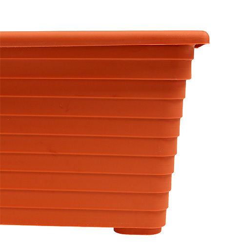 Floristik24 Balkono dėžė &quot;Nowa&quot; terakotinė 51cm x 21cm, 1vnt