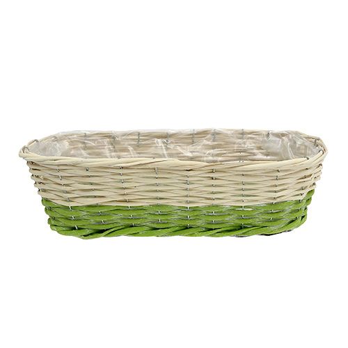 Floristik24 Balkono dėžutė ovali 48x18cm H14cm kreminė, žalia