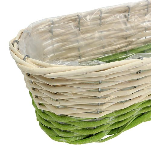 Floristik24 Balkono dėžutė ovali 48x18cm H14cm kreminė, žalia