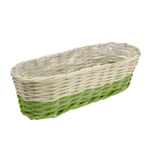Floristik24 Balkono dėžutė ovali 48x18cm H14cm kreminė, žalia