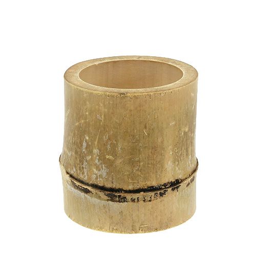 Bambuko sodinukas Ø7cm H10cm