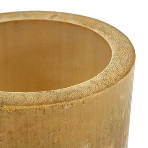 Floristik24 Bambuko sodinukas Ø7cm H10cm