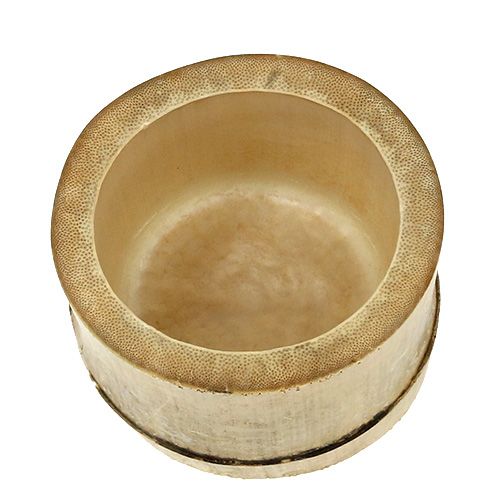 Floristik24 Bambuko sodinukas Ø7cm H10cm
