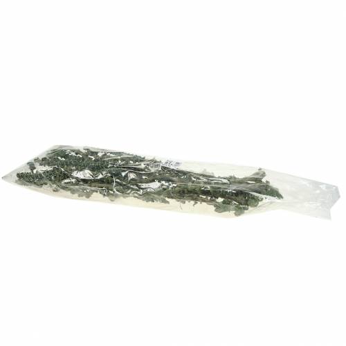 daiktų Banano Stem Dekoast Green, baltai plauti 20 vnt