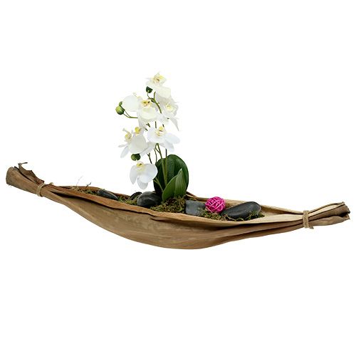 Floristik24 Bananų lapų dubuo 40-45cm natūralus 1 vnt