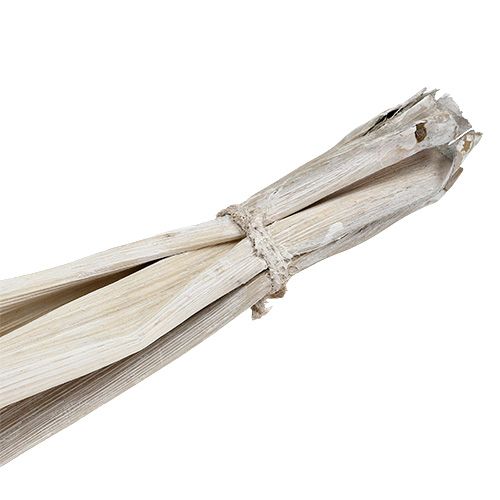 Floristik24 Bananų lapų balta plauta natūrali puošmena 66cm