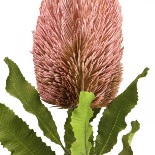 Dirbtinė gėlė Banksia rožinė rudens dekoracija proginė floristika 64cm