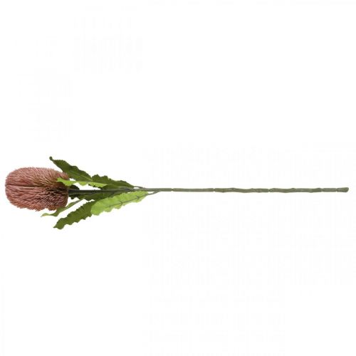 daiktų Dirbtinė gėlė Banksia rožinė rudens dekoracija proginė floristika 64cm