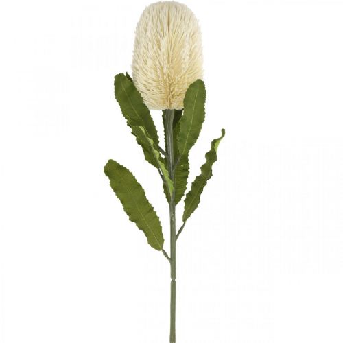 Dirbtinė gėlė Banksia balta kreminė Dirbtinė egzotika 64cm