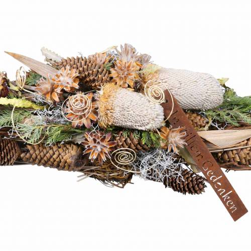 Floristik24 Banksia Hookerana natural 7 vnt