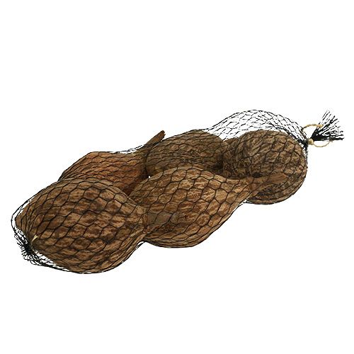Floristik24 Baobabo vaisiai nulupti 15cm - 20cm natūralūs 5 vnt