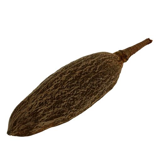 Floristik24 Baobabo dubuo natūralus 30cm - 38cm nuluptas