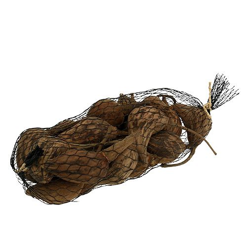Floristik24 Baobabas mini nuluptas natūralus 8cm - 12cm 250g