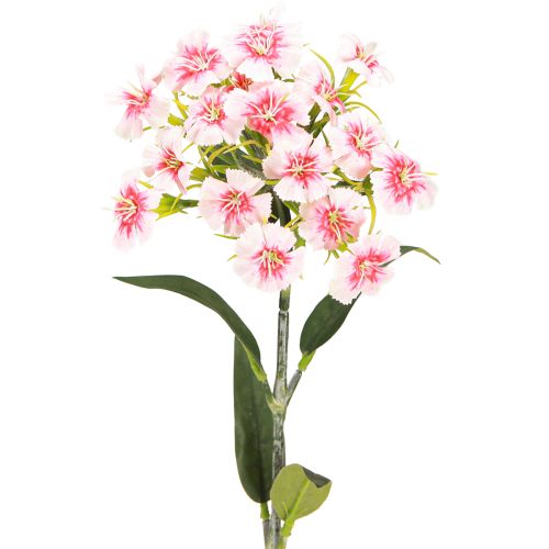 daiktų Barzdotas gvazdikas dirbtinis gvazdikas Peach Pink 52cm
