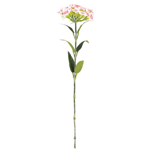daiktų Barzdotas gvazdikas dirbtinis gvazdikas Peach Pink 52cm